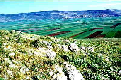 Bet Netofa Valley, as seen from Cana, looking southeast Bet Netofa Valley, as seen from Cana, looking southeast