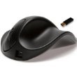 Hippus Handshoe Mouse